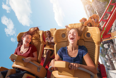 Roller Coaster